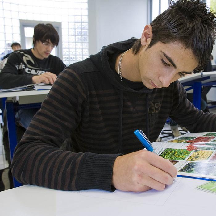 brindamos oportunidades